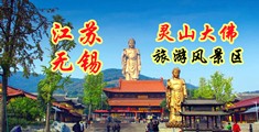 艹b视频886江苏无锡灵山大佛旅游风景区