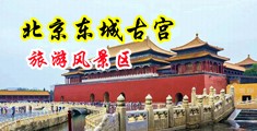 高清黄色日逼中国北京-东城古宫旅游风景区